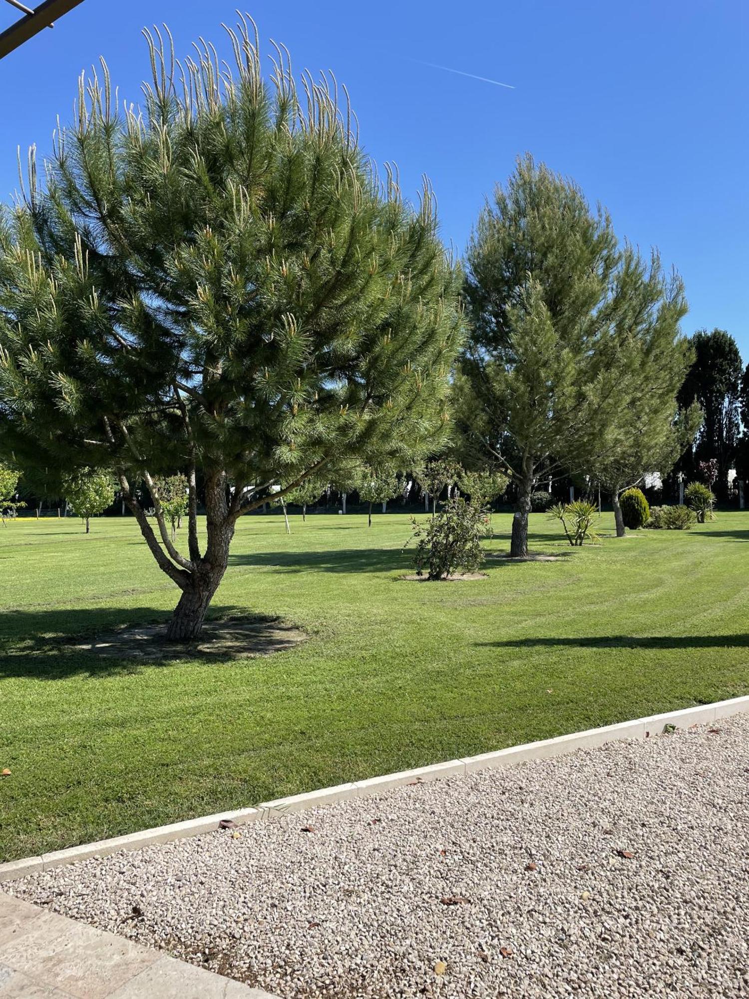 Bed & Breakfast Des Chutes 3*